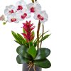 Orchid and Bromeliad in Glossy Black Cylinder