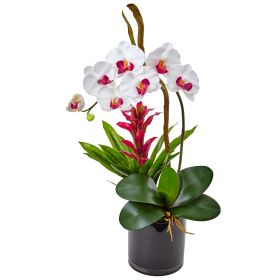 Orchid and Bromeliad in Glossy Black Cylinder (Color: White, size: 26")