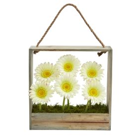 Gerber Daisy Garden in Hanging Frame (size: 12")