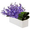 Dancing Lady Orchid in Rectangular Ceramic