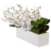 Dancing Lady Orchid in Rectangular Ceramic