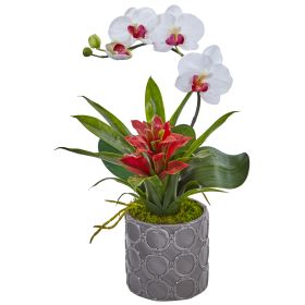 Mini Phalaenopsis Orchid and Bromeliad in Vase (Color: White, size: 17")
