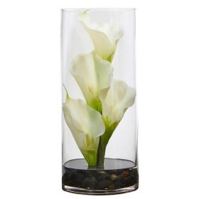 Calla Lily in Cylinder Glass Vase (size: 14")