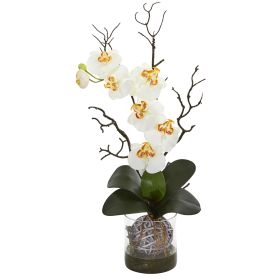 Phalaenopsis Orchid Artificial Arrangement in Vase (size: 24")