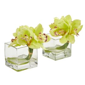 Cymbidium Orchid Arrangement in Glass Vase (Set of 2) (size: 8")