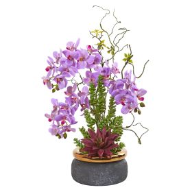 Phalaenopsis Orchid and Succulent Artificial Arrangement (size: 21")