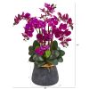 Phalaenopsis Orchid Arrangement in Stoneware Vase