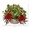 Phalaenopsis Orchid and Variegated Holly Arrangement
