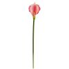 Calla Lily Artificial Flower (Set of 12)