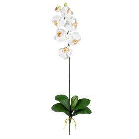Phalaenopsis Stem (Set of 6) (Color: Cream)
