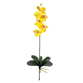 Phalaenopsis Stem (Set of 6) (Color: Yellow)