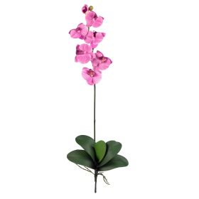 Phalaenopsis Stem (Set of 6) (Color: Mauve)