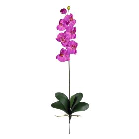 Phalaenopsis Stem (Set of 12) (Color: Orchid)
