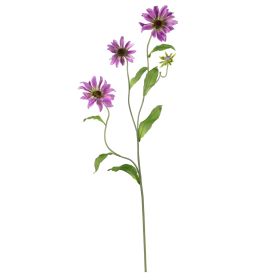 Cosmos Stem (Set of 12) (Color: Purple, size: 28.5")