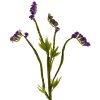 Baby Breath Artificial Flower (Set of 24)