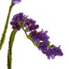 Baby Breath Artificial Flower (Set of 24)