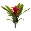 Bromeliad Bush (Set of 6)