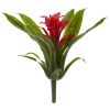 Bromeliad Bush (Set of 6)