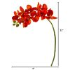 Phalaenopsis Orchid Artificial Flower (Set of 6)