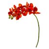 Phalaenopsis Orchid Artificial Flower (Set of 6)