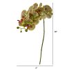 Phalaenopsis Orchid Artificial Flower (Set of 6)