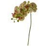 Phalaenopsis Orchid Artificial Flower (Set of 6)