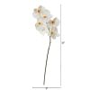 Phalaenopsis Orchid Artificial Flower (Set of 12)