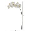 Phalaenopsis Orchid Artificial Flower (Set of 6)