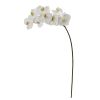 Phalaenopsis Orchid Artificial Flower (Set of 6)