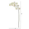 Phalaenopsis Orchid Artificial Flower (Set of 6)
