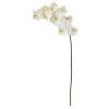 Phalaenopsis Orchid Artificial Flower (Set of 6)