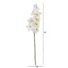 Phalaenopsis Orchid Artificial Flower (Set of 6)