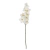 Phalaenopsis Orchid Artificial Flower (Set of 6)