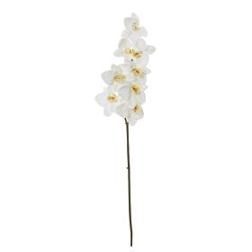 Phalaenopsis Orchid Artificial Flower (Set of 6) (size: 33")