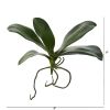 Phalaenopsis Orchid Leaf Artificial Flower (Set of 6)