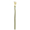 Calla Lily Artificial Flower (Set of 6)
