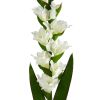 Gladiolus Artificial Flower (Set of 3)