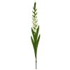 Gladiolus Artificial Flower (Set of 3)