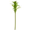 Star Bromeliad Artificial Flower (Set of 6)