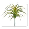 Tillandsia Artificial Flower (Set of 12)