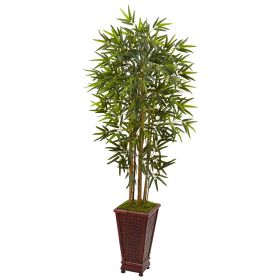 Bamboo Tree in Decorative Planter (size: 5')