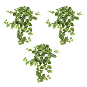 Pothos Hanging Bush (Set of 3) (size: 40")