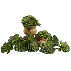 Echeveria Succulent (Set of 12) (Color: Green Burgundy, size: 6")