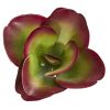 Succulent Artificial Plant (Set of 6)