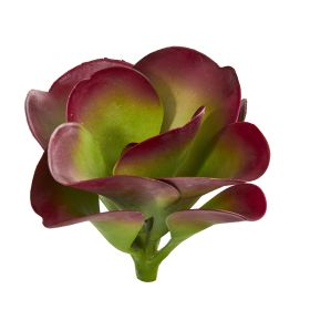 Succulent Artificial Plant (Set of 6) (size: 9")