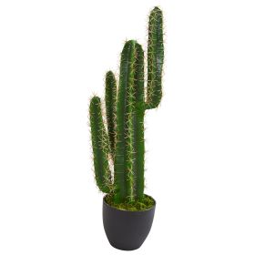 Cactus Artificial Plant (size: 2.5')
