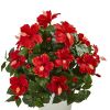 Hibiscus in White Tower Planter