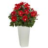 Hibiscus in White Tower Planter