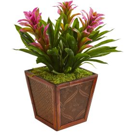 Triple Bromeliad Plant in Decorative Planter (size: 18'')