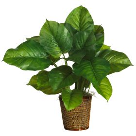 Large Leaf Philodendron Silk Plant (Real Touch) (size: 29")